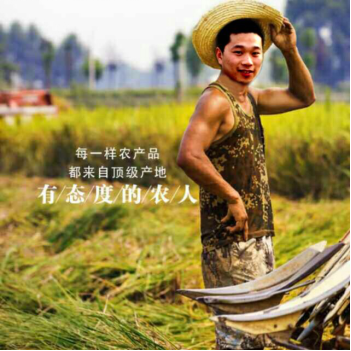 准90后社交电商新农人崛起：做有态度的农人