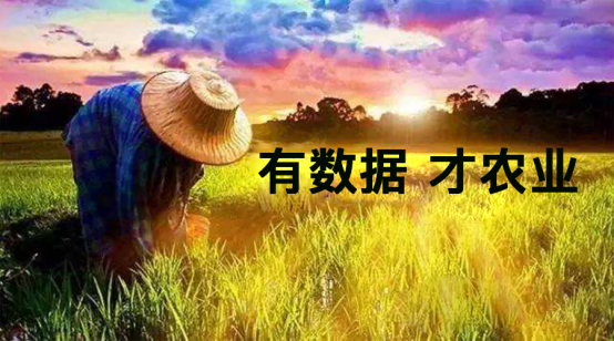 信和大金融：以大数据驱动农业产业链发展