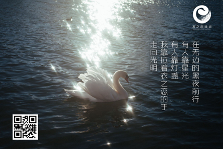 1504591461741633.png 2507.png