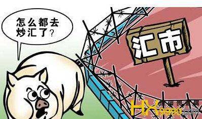 蜂鸟外汇投资学院：免费外汇培训指导，分享精准外汇策略