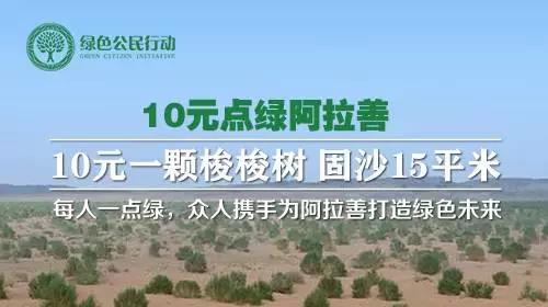 绿色公民行动助力《联合国防治荒漠化公约》缔约方大会