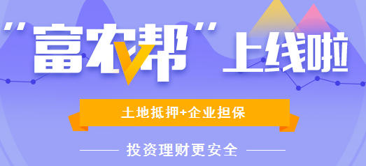 抵押！担保！唐贷金融 “富农帮”引领新一轮投资热潮