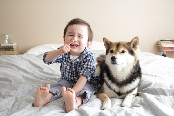 https://timgsa.baidu.com/timg?image&quality=80&size=b9999_10000&sec=1506006548707&di=be3b20656e03bee2a762898c5c59f00d&imgtype=0&src=http%3A%2F%2Fimg4.duitang.com%2Fuploads%2Fblog%2F201407%2F14%2F20140714110950_4FR2X.jpeg