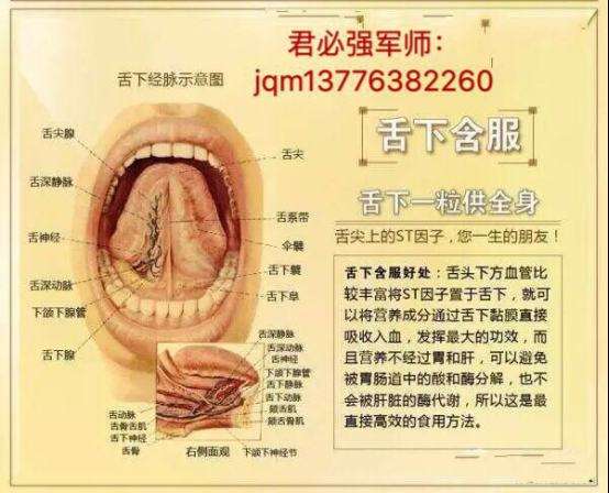 君必强新品海参原力片是口服的吗？怎样服用呢？