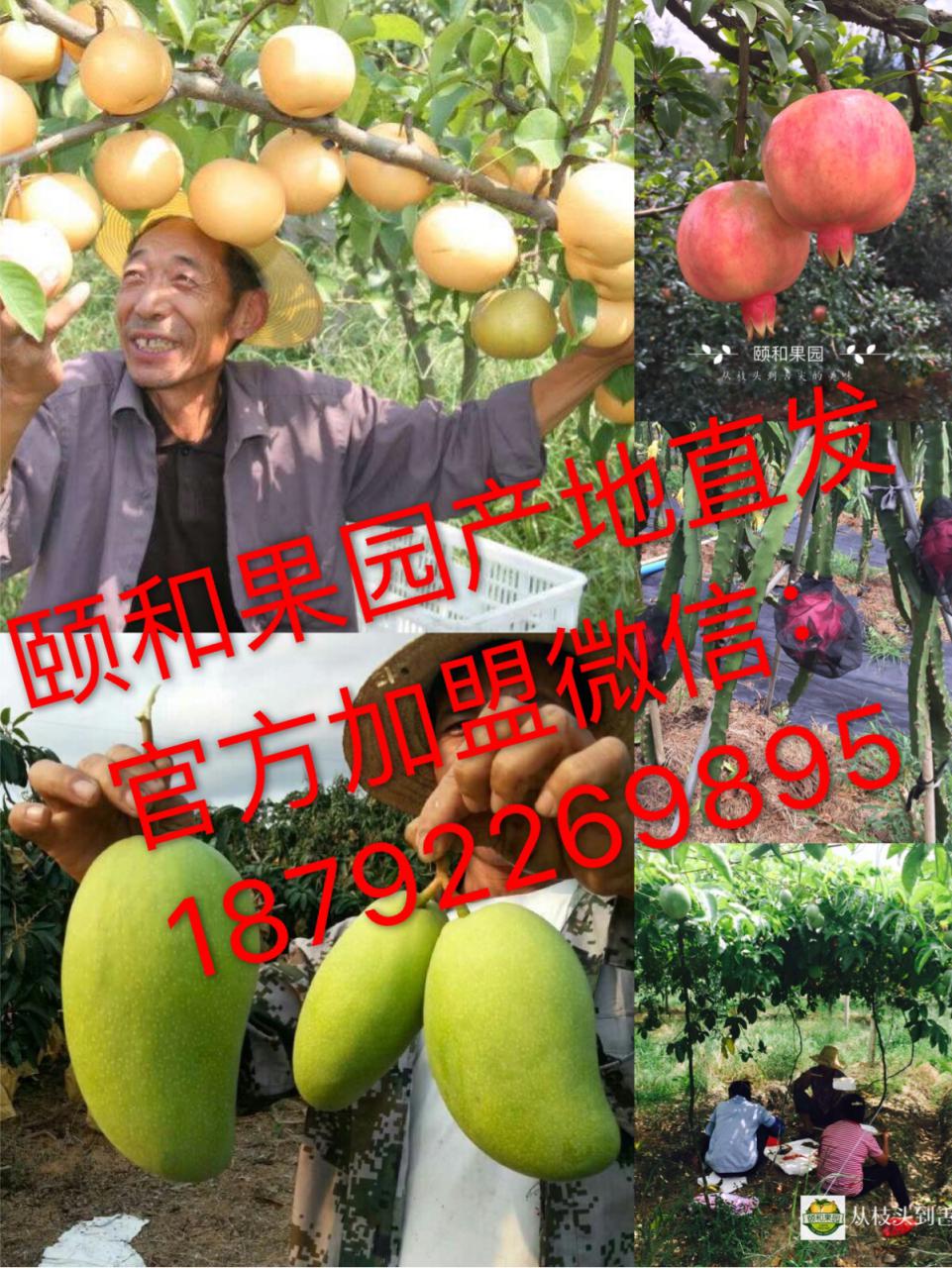颐和果园338元加盟费如何撬动月入上万的微商事业？
