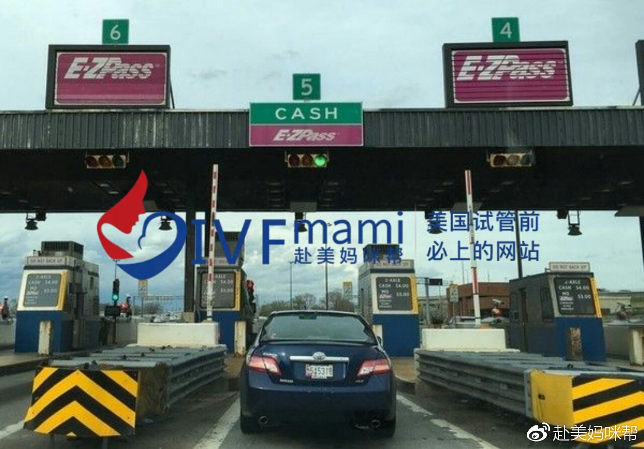 赴美妈咪帮美国试管婴儿生活指南｜在洛杉矶开车需要注意的事项