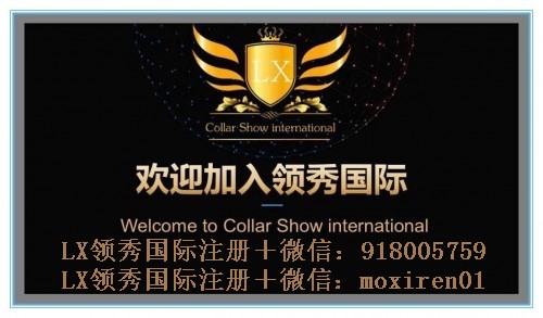 项目新焦点：LX领秀国际项目9月19号正式开始内排