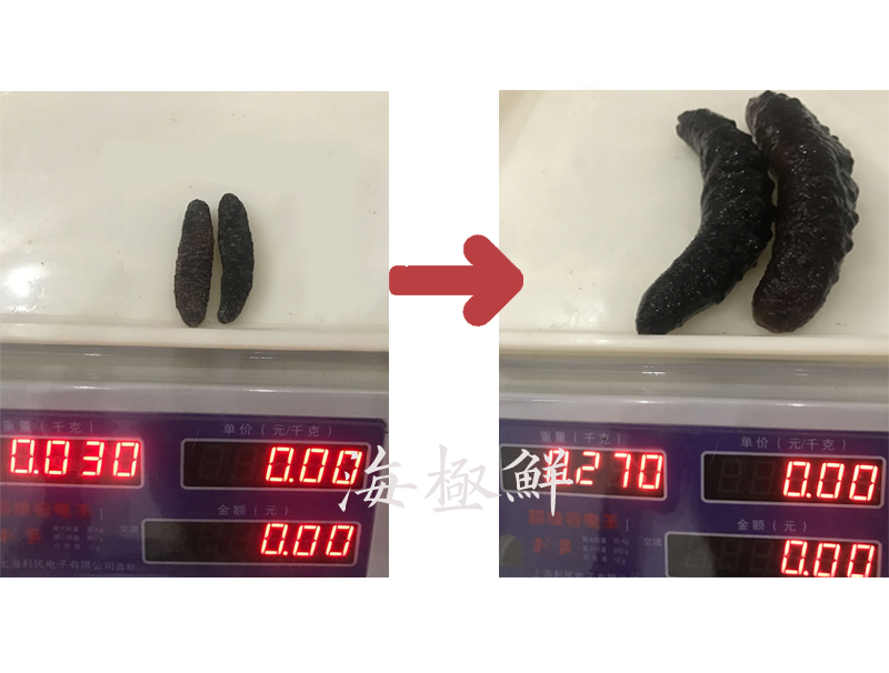 野生海参的营养价值怎样？
