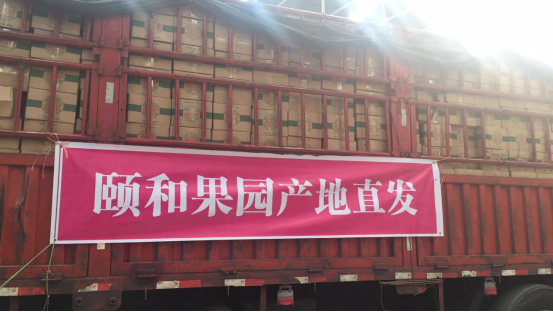 颐和果园这是一个你没有理由错过的平台