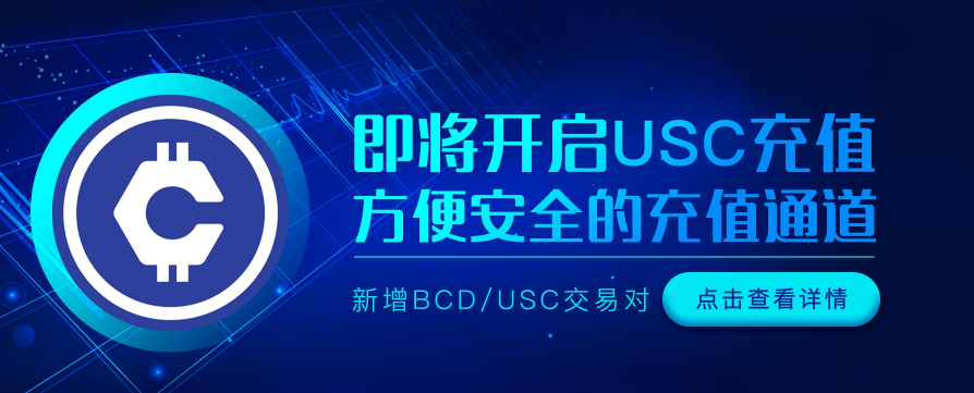 当今环境下如何人民币买入比特币？USC是关键！