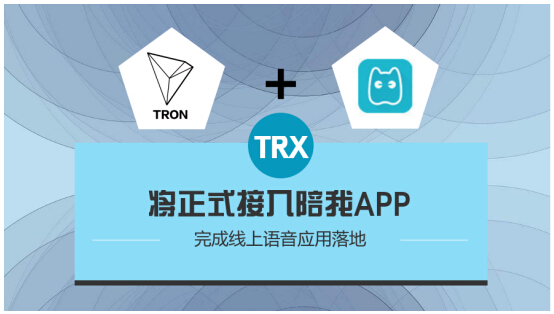 波场TRON联盟应用陪我APP将在2月份完成TRX的接入