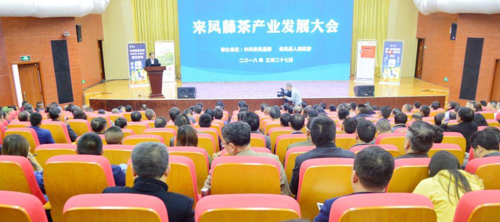 网库单品产业互联网助力“中国藤茶第一县”来凤大发展